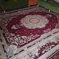 فرش|فرش|شیراز, شهدای شهرک سعدی|دیوار