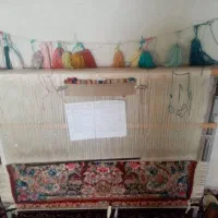 فرش‌زرنیم‌سالاری