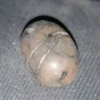 شهابسنگ|کلکسیون اشیاء عتیقه|قوچان, |دیوار