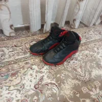 کفش|کیف، کفش، کمربند|تایباد, |دیوار