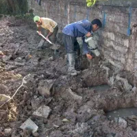 استخدام کارگر