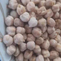 عدس و نخود دیم درجه یک