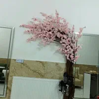 آیینه بک لایت اردکان