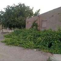 اجاره یک واحد مرغداری گوشتی