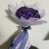 گل ربانی زیبا شاخه ای 40 همه12شاخه 480