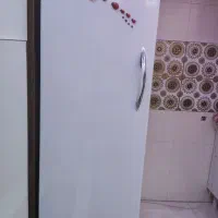 فریزر پارس