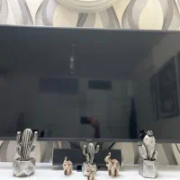 تلویزوین سامسونگ ۴۹ اینچ