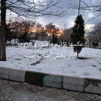 درمان آشفته خوابی و بی خوابی