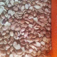 باسلام.کپسول ال پی جی|قطعات یدکی و لوازم جانبی|اهواز, حصیرآباد|دیوار