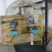 قفس پرنده|لوازم جانبی حیوانات|اندیشه, اندیشه فاز ۱|دیوار