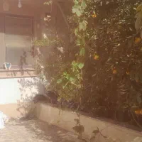 اجاره واحد مسکونی|اجارهٔ خانه و ویلا|رودبار, |دیوار