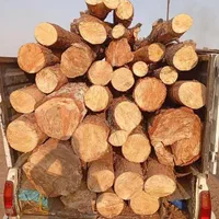 خرید وبرش چوب|خدمات باغبانی و درختکاری|بیرجند, |دیوار