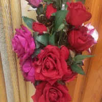 گل مصنوعی|گل مصنوعی|لاهیجان, رجایی|دیوار