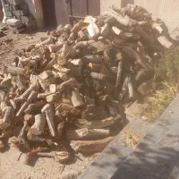 چوب خرد شده|خدمات باغبانی و درختکاری|شاهرود, |دیوار