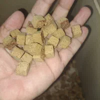 کلوچه زنجبیلی بیرجندی و حبه عناب|خوردنی و آشامیدنی|تربت جام, پاسداران|دیوار