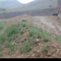 زمین به متراژ۴۵۰مترمربع درروستای لالان فروش فوری|فروش زمین و ملک کلنگی|شمشک, |دیوار