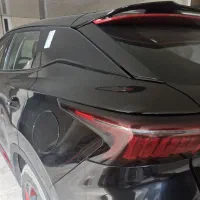 fx فونیکس مشکی در حد خشک