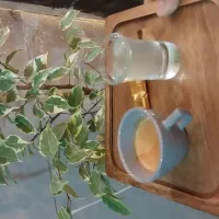 واگذاری کافه قهوه|کافیشاپ و رستوران|کاشمر, |دیوار