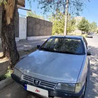 ۴۰۵ تمیز مرتب یک در ویک نصف گلگیر رنگ