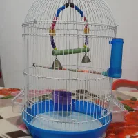 قفس