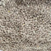 حبوبات|عمده‌فروشی|گرمسار, |دیوار