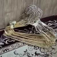 چوبکار طلایی