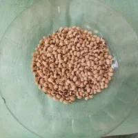 پخش عمده وخرده حبوبات با قیمتهای مناسب|عمدهفروشی|پاکدشت, خاتون آباد|دیوار