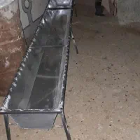 آبخورگوسفندی