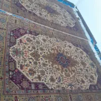 فرش دستباف|فرش|سلماس, |دیوار