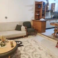 رهن و اجاره منزل یک خواب|اجارهٔ آپارتمان|شیراز, شاپورجان|دیوار