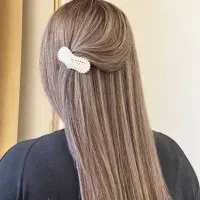 آرایشگر (تخصصی لایت، مش و رنگ)