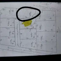 زمین فروشی دشت صفی اباد|فروش زمین و ملک کلنگی|کاشان, صفی آباد|دیوار