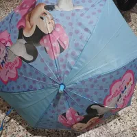 چتربچه گانه