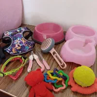 لوازم کامل بهترین جنس برای سگ