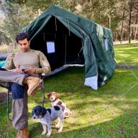 فروشنده چیدمان نظم دهنده