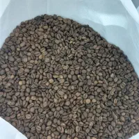 بازاریاب کافه ورستوران