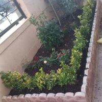 خدمات باغبانی گل کاری باغچه کاری تمام نقاط تهران