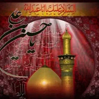 کربلای معلی با قطار و وی ای پی