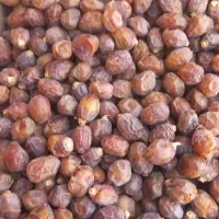 پخش عمده خرما استان کردستان به صورت مستقیم|خوردنی و آشامیدنی|سریش آباد, |دیوار