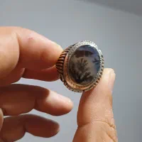 عقیق شجر|جواهرات|نهاوند, |دیوار