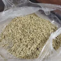 جو محلی سرا رود