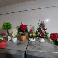 گل و گلدان های زیبا|گل مصنوعی|کازرون, |دیوار