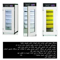 ماشین جوجه کشی