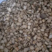 تخمه هندوانه آجیلی