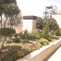 باغبانی هرسکاری وکوددهی با مهروفاکتور وضمانت|خدمات باغبانی و درختکاری|تهران, پاسداران|دیوار