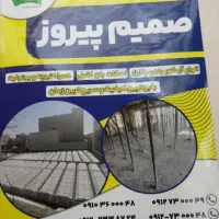 شرکت پیمانکاری صمیم پیروز