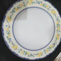 ظروف چینی تکی