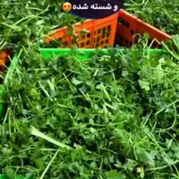 سبزیجات اماده