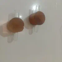 مگنت چوبی یخچال