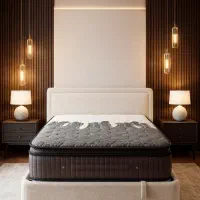 تشک فنرپاکتی مناسب دیسک کمر و ستون فقرات(تمام قسط)